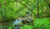 Randonnée Marche Viroinval - Balade à Oignies-en-Thiérache - Le Ry d'Alise - Photo 2