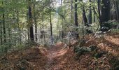 Excursión Bici de montaña Yvoir - GODINNE ... d'un versant à l'autre. - Photo 4