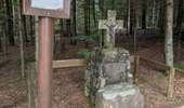 Trail Horseback riding Turquestein-Blancrupt - suuntoapp-HorsebackRiding-2025-08-31T06-50-03Z - Photo 6