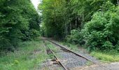 Tour Wandern Wirten - Trou des fées, Montauban & Fourneau Marchand - Photo 2