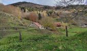 Trail Walking Sewen - Sewe Baerenbach  - Photo 1