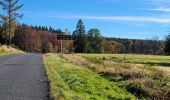 Excursión Bici eléctrica Vieux-Moulin - Vieux-Moulin- Saales- Ban de Sapt - Vieux Moulin - Photo 20