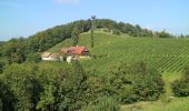 Percorso A piedi Leutschach an der Weinstraße - Kleeblattwanderweg Nr. 4 - Photo 6