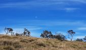 Tour Wandern Nuwara Eliya - Sri-09  Nuwara Eliya - Horton Plains - bandarawela - Photo 5