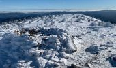 Excursión Esquí de fondo Saint-Front - 2022 01 randonnées en MEZENC : montée au Mont MEZENC et tour du Mont d’Alambre. - Photo 7