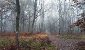 Excursión Senderismo Boussy-Saint-Antoine - SityTrail - GRP CV-IDF - Photo 2