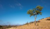 Trail On foot Odeleite - Barrancos - Photo 1