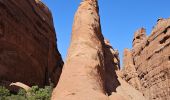 Tocht Stappen Unknown - 2024 Arches NP Devil's garden - Photo 12