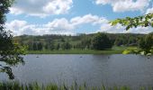 Tour Zu Fuß Wettin-Löbejün - Rundweg Nußgrund Tannengrund Rothenburg - Photo 1