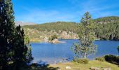 Trail Walking Font-Romeu-Odeillo-Via - col de la palme  - Photo 5