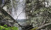 Tour Wandern Saint-Vincent-de-Mercuze - Cascade de l'Alloix Montalieu (38) - Photo 9