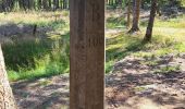 Trail Walking Trois-Ponts - logbierme 060824 - Photo 3