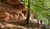 Percorso Marcia Roppeviller - Roppewiler Rochers altschlossfelsen et Diane - Photo 11
