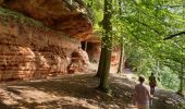 Excursión Senderismo Roppeviller - Roppewiler Rochers altschlossfelsen et Diane - Photo 11