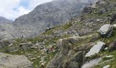 Tocht Stappen Belvédère - Refuge des Merveilles  - Photo 13