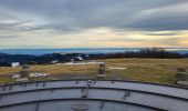 Trail Walking Lepuix - Malvaux - Ballon d'Alsace - La Gentiane - Photo 13