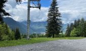 Randonnée Marche Passy - Plaine Joux, Barnus, le lac vert - Photo 6