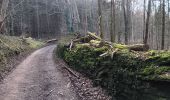 Trail Walking Theux - tillot . hodbomont . mont . wisselez . tillot - Photo 18