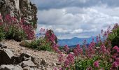 Trail Walking Marseille - mont Puget, Grande Candelle - Photo 2