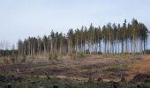 Tour Wandern Libramont-Chevigny - rando laneuville(libramont)18/02/2021 - Photo 17