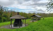 Randonnée Marche Esneux - autour du parc du Mary - variante  - Photo 3