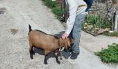 Randonnée Marche Fraissinet-de-Fourques - vers le veygalier à frayssinet de fourgues - Photo 17