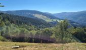 Tocht Stappen Metzeral - Petit-Ballon via Col du Hilsenfirst - Photo 9