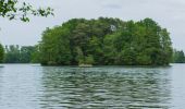 Tour Zu Fuß Schwielochsee - Rundwanderweg Großer Mochowsee - Photo 1