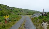 Tour Zu Fuß West Cork - Peakeen Ridge Loop Walk - Photo 7