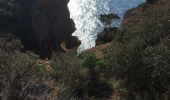 Tour Wandern La Ciotat - la Ciotat  - Photo 3