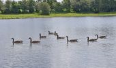 Tour Wandern Eijsden-Margraten - 20240523 - Balade ornithologique Oost Maarland - 2.2 Km - Photo 2