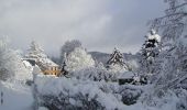 Tour Zu Fuß Willingen (Upland) - Hessenweg 6, Abschnitt Willingen - Welleringhausen - Photo 3