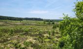 Trail Walking La Roche-en-Ardenne - Sanree 300523 - Photo 8