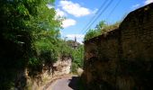 Tour Wandern Saint-Ouen-les-Vignes - Saint-Ouen-les-Vignes - Pocé-sur-Cisse 460 - 23.9km 460m 5h40 - 2022 05 29 - Photo 2