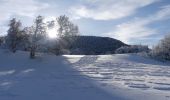Randonnée Raquettes à neige Léoncel - Le Grand Echaillon - Les Crêtes de la Sausse - Photo 11