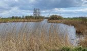 Excursión Senderismo Sluis - Sluis 19,4 km - Photo 2