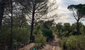 Excursión Senderismo Roquebrune-sur-Argens - z le coulet redon 23-1121 - Photo 2