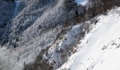 Tocht Stappen Plancher-les-Mines - 2025-01-04 Rando Polaire Dolleren Ballon Alsace Etape 3 - Photo 3