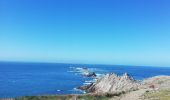 Tocht Stappen Plogoff - pointe du Raz - Photo 7