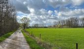 Trail Walking Haacht - Wespelaar - Leuven 22 km - Photo 12
