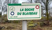 Randonnée Marche Le Tholy - Sentier de la Roche Au Blaireau depuis le gîte  - Photo 6