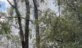 Randonnée  Roquefort-la-Bédoule - Sous les barres de fond blanche  - Photo 16