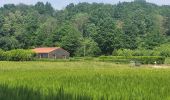 Tour Wandern Chaumes-en-Brie - Châteaux autour de Chaumes en Brie - Photo 1