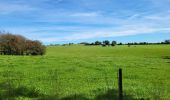 Tour Wandern Daverdisse - Haut Fays 260923 - Photo 2