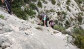 Trail Walking Puyloubier - Pic des Mouches  - Photo 4