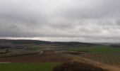 Trail Walking Maisnil-lès-Ruitz - Terrils jumeaux des Falandes et du Pays à Part - Photo 2