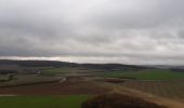 Tour Wandern Maisnil-lès-Ruitz - Terrils jumeaux des Falandres et du Pays à Part - Photo 1