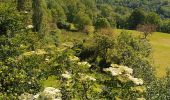 Tocht Stappen Faycelles - Faycelles StEulalie J1+ - Photo 4