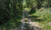 Trail Walking Contamine-Sarzin - Contamine Sarzin Cascade Barbannaz - Photo 3