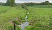 Tour Wandern Gerpinnes - Gerpinnes GR129 Tarcienne Hanzinne Fromiée  - Photo 17